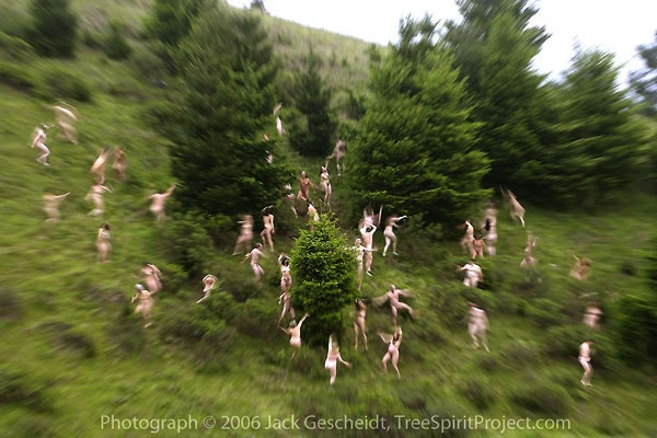 TreeSpirit Project - Nus dans les arbres