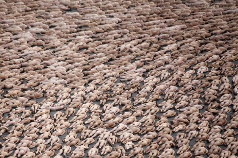 spencer tunick 2010 Sydney