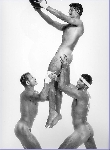calendrier rugbymen nus
