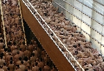 spencer_tunick_2006_san sebastian