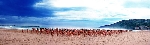 spencer_tunick_2006_san sebastian