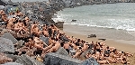 spencer_tunick_2006_san sebastian