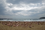 spencer_tunick_2006_san sebastian
