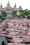 spencer_tunick_2003_barcelona