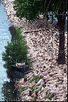 spencer_tunick_2001_melbourne