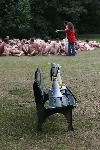 spencer tunick 2006 dusseldorf