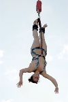 Jump - saut à  l'élastique