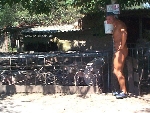 www.no-limit-nudism.de