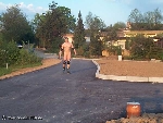 www.no-limit-nudism.de