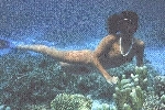 Nues sous l'eau