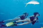 Nues sous l'eau