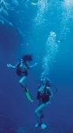 Nues sous l'eau