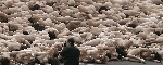 Spencer tunick mexico 2007