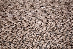 Spencer tunick mexico 2007