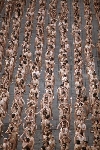 Spencer tunick mexico 2007