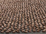 Spencer tunick mexico 2007