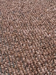 Spencer tunick mexico 2007