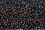 Spencer tunick mexico 2007