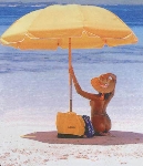 Naturistes nus à la plage